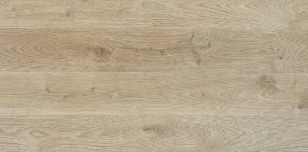 DĄB MINESOTA NATURALNA